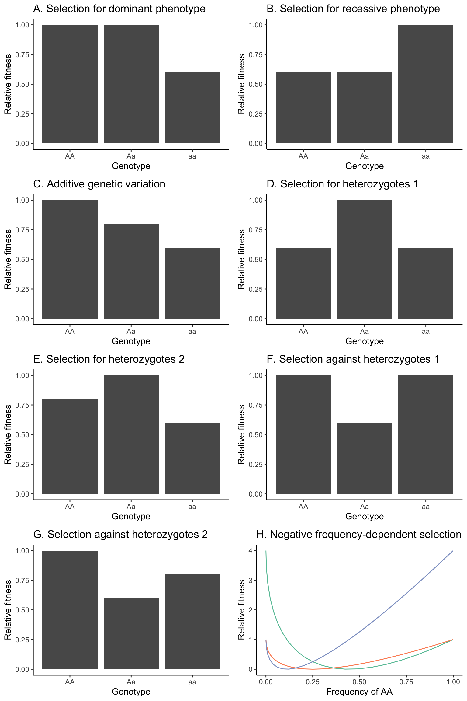 Hypothetical fitness distributions among genotypes that will be used in different scenarios to model the outcomes of selection. (A) Selection for the dominant phenotype, assuming a dominant-recessive inheritance. (B) Selection for the recessive phenotype, assuming a dominant-recessive inheritance. (C) Fitness distribution assuming a strictly additive inheritance. Note that the fitness of *AA* and *aa* could also be swapped in this scenario. (D) Selection for heterozygotes, with homozygous genotypes having equal fitness. (E) Selection for heterozygotes, with homozygous genotypes having unequal fitness. Note that the fitness of *AA* and *aa* could also be swapped in this scenario. (F) Selection against heterozygotes, with homozygous genotypes having equal fitness. (G) Selection against heterozygotes, with homozygous genotypes having unequal fitness. Note that the fitness of AA and aa could also be swapped in this scenario.