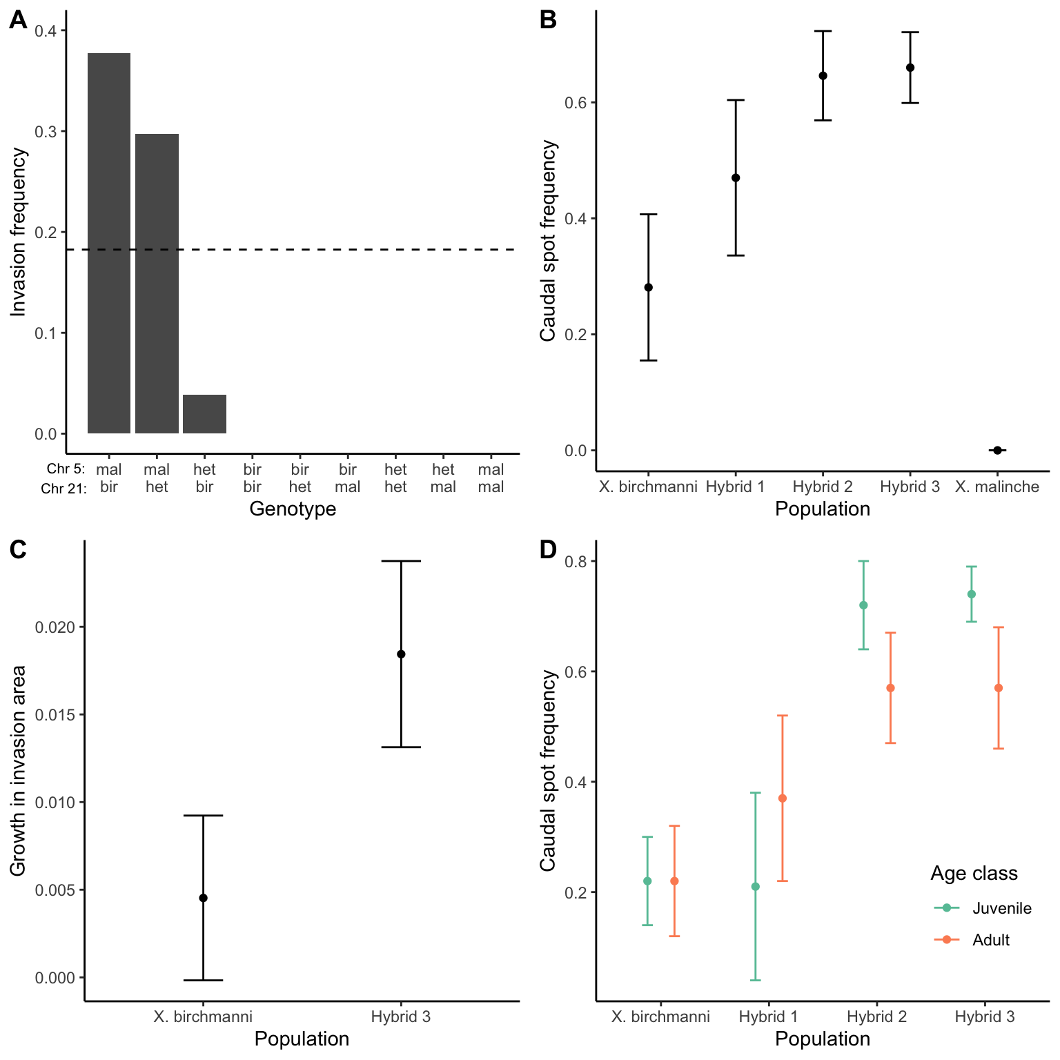 A. Frequency of invasive melanocytes in *Xiphophorus* fish with different genotypes at a tumor suppressor locus (on chromosome 5) and tumor locus (on chromosome 21). Only fish that are homozygous for the low activity tumor suppressor allele from *X. malinche* and have at least one tumor allele from *X. birchmanni* develop a high frequency of invasive tumor cells. [Data](data/11_xipho1.csv) from Powell et al. (2020). B. Caudal spot frequencies in parental *X. birchmanni* and *X. malinche* populations, and natural populations with hybridization between the two species (Hybrid 1-3). [Data](data/11_xipho2.csv) from Powell et al. (2020). C. Caudal spots grow faster and larger in hybrids compared to *X. birchmanni*. [Data](data/11_xipho3.csv) from Powell et al. (2020). D. The decrease in caudal spot frequency from juveniles to adults in two populations of *Xiphophorus* hybrids indicate an increased mortality of fish with a caudal spot. [Data](data/11_xipho4.csv) from Powell et al. (2020).