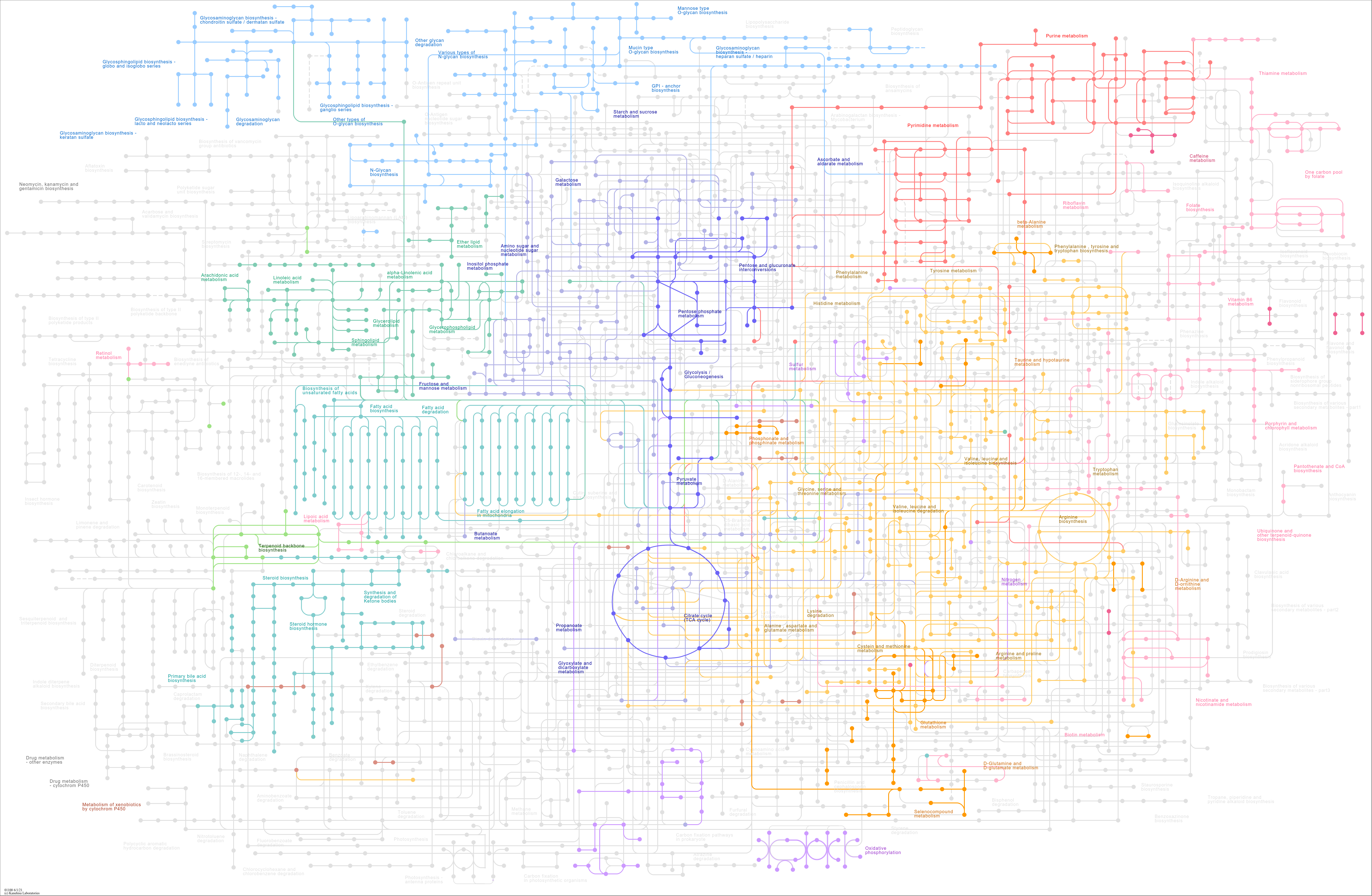 Pathway map representing the molecular interaction, reaction, and relation networks for human metabolism. Check out the [KEGG Pathway Database](https://www.genome.jp/pathway/hsa01100) for an interactive version.